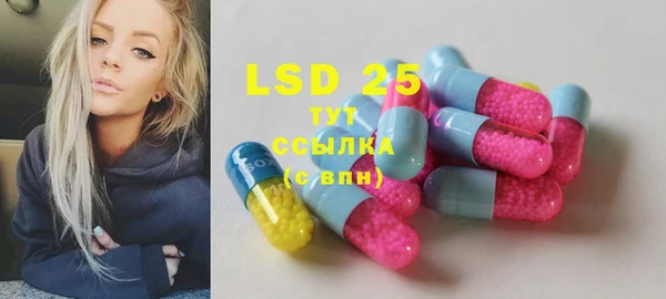 дживик Богородицк