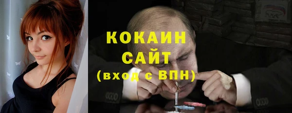 МДПВ Богородск