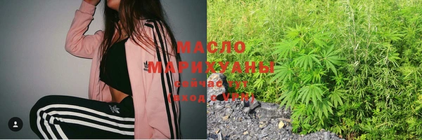 дживик Богородицк