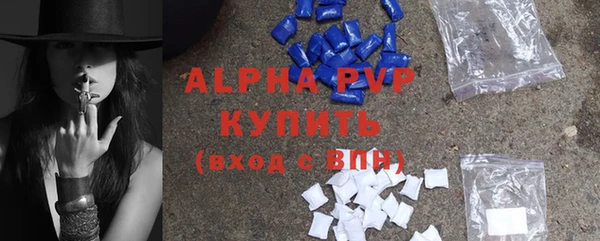 дживик Богородицк