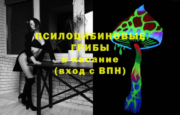 дживик Богородицк