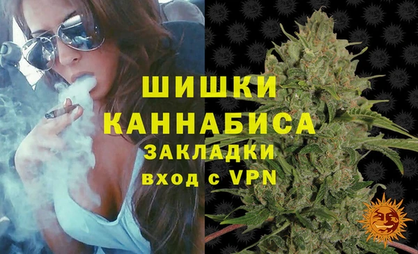 дживик Богородицк