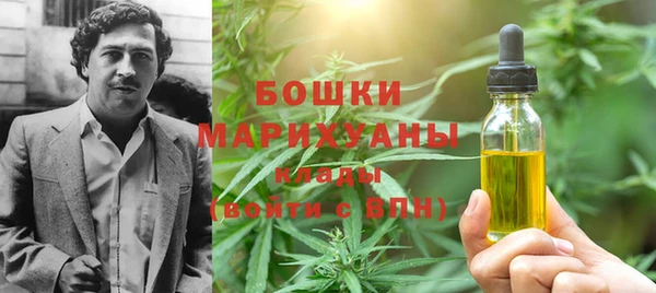 МДПВ Богородск