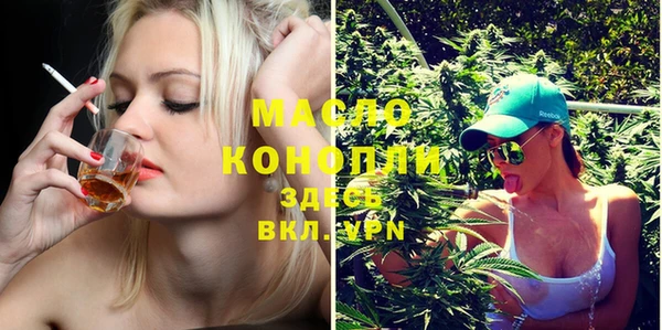 дживик Богородицк